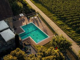 Wanderurlaub Pfälzerwald inkl. Halbpension | 5 Tage