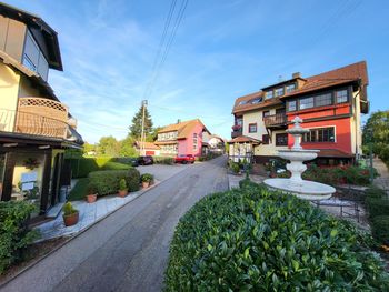 6 Tage Familienzeit mit Ihrem Haustier im Schwarzwald