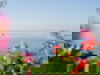 6 Tage - Bodensee Genuss!