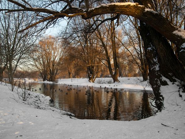 Cottbuser Winterschnäppchen - 5 Tage inkl. Halbpension plus