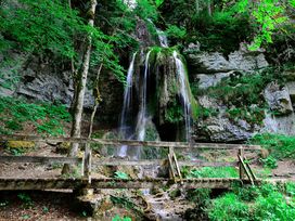 3 Tage Wandern: Weinberge und Schwarzwaldlandschaften