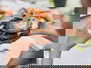 Lage, Luft und Leidenschaft für gutes Essen - 3 Tage