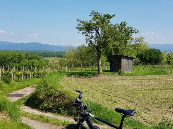 5 Tage Aktivurlaub - Kaiserlich Radfahren zum Top-Preis im Breisgau