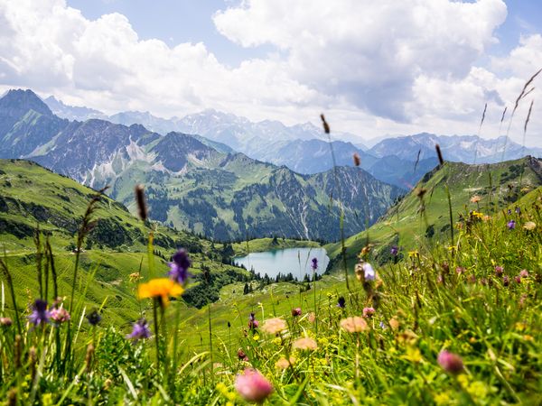 7 Tage im Allgäu ART Hotel mit Frühstück in Kempten (Allgäu)