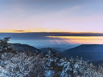 3 Tage - Winterwandern an der Mosel