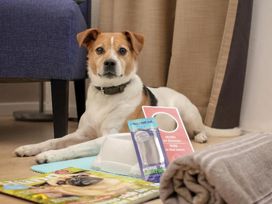 2 Tage im Hotel Mercure Aachen Europaplatz