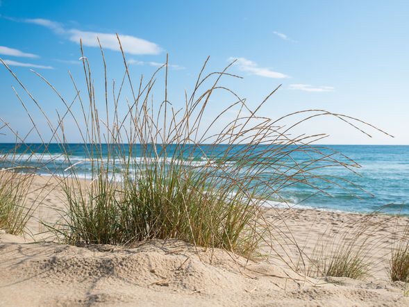4 Tage Ostseeluft schnuppern mit Wellness
