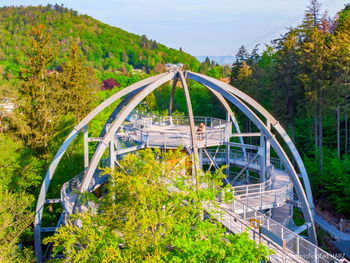 Baumwipfelpfad HARZ I das Wipfelerlebnis