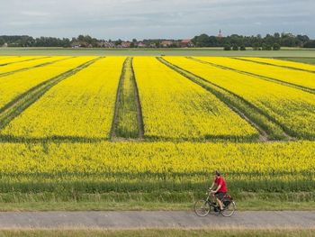 Pfingsten in Ostfriesland – Dein Kurzurlaub in Aurich