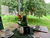 5 Tage Familienzeit im Spreewald