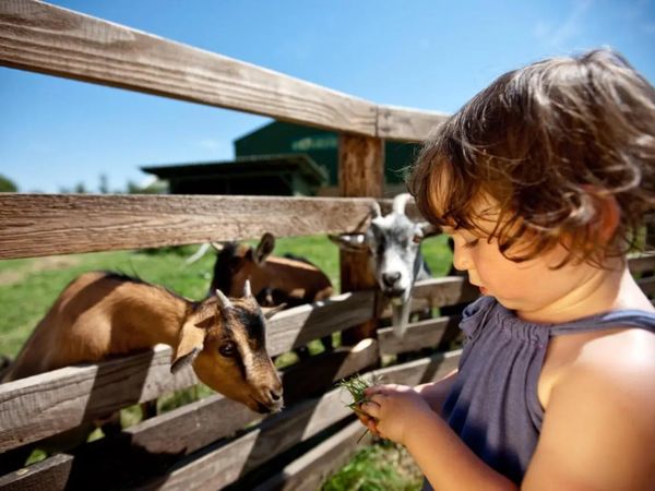4 Tage Familienauszeit im schönen Lutzmannsburg Frühstück