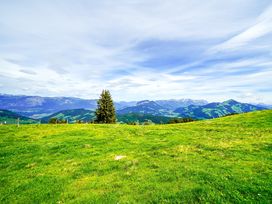 4 Tage Sommer & Sonne in den Tiroler Bergen