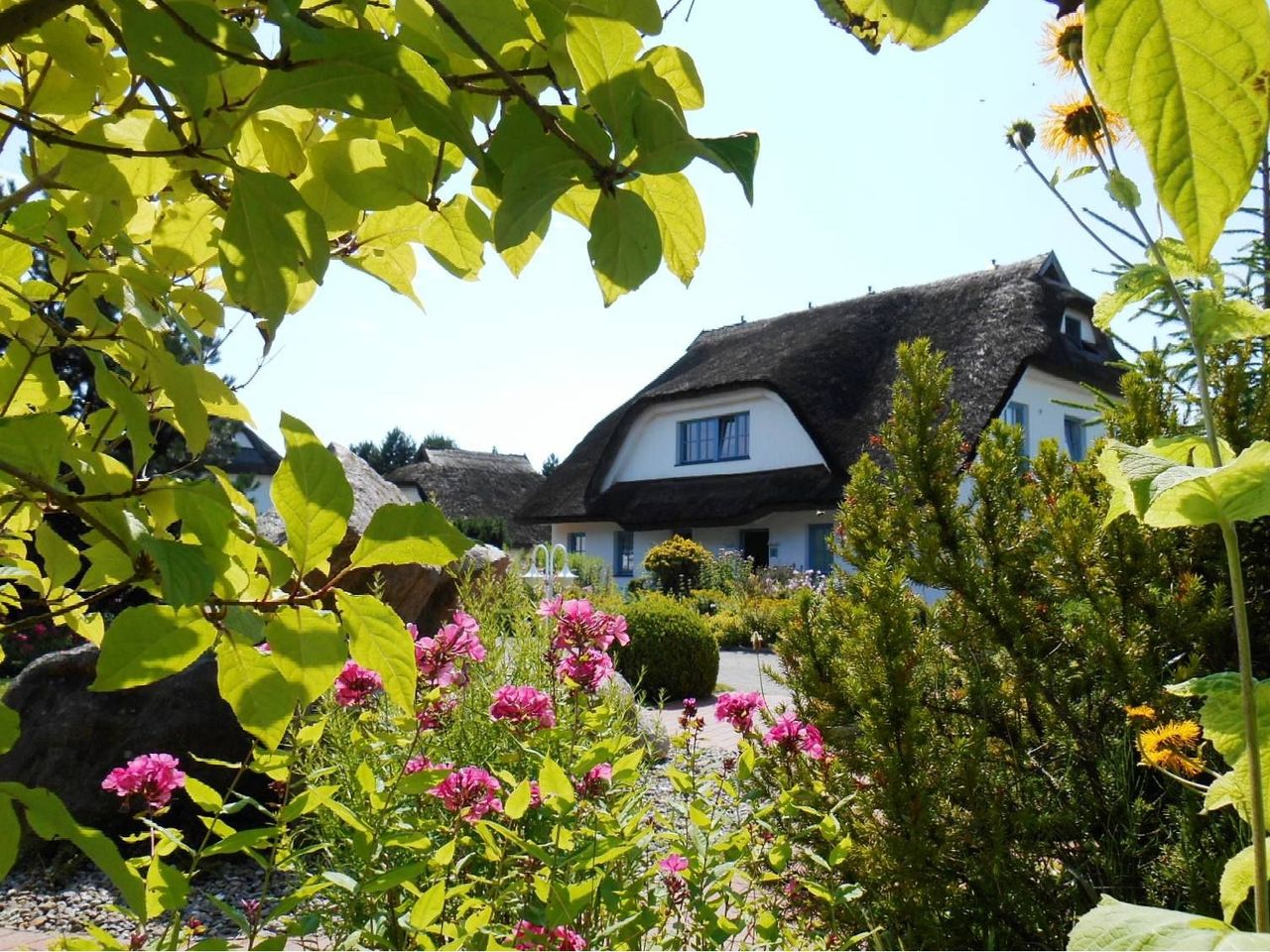 4 Tage im Naturparadies auf Rügen