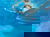 Entdeckungstour an Rhein und Neckar - 2 Tage