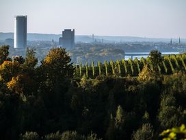 Drei Tage in Bonn mit Besuch der Bundeskunsthalle