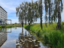 3 Tage Erholung am Naturschutzgebiet Groningen