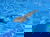 Entdeckungstour an Rhein und Neckar - 2 Tage