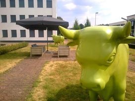Drei Tage in Bonn mit Besuch der Bundeskunsthalle