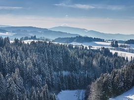 SommerZeit im Schwarzwald