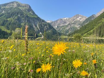 Allgäuer Natur erleben (7 Nächte)