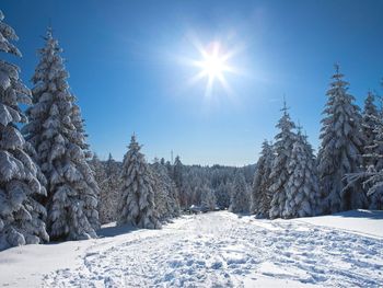 2 Tage Winterspecial inkl. 2-Gang-Menü