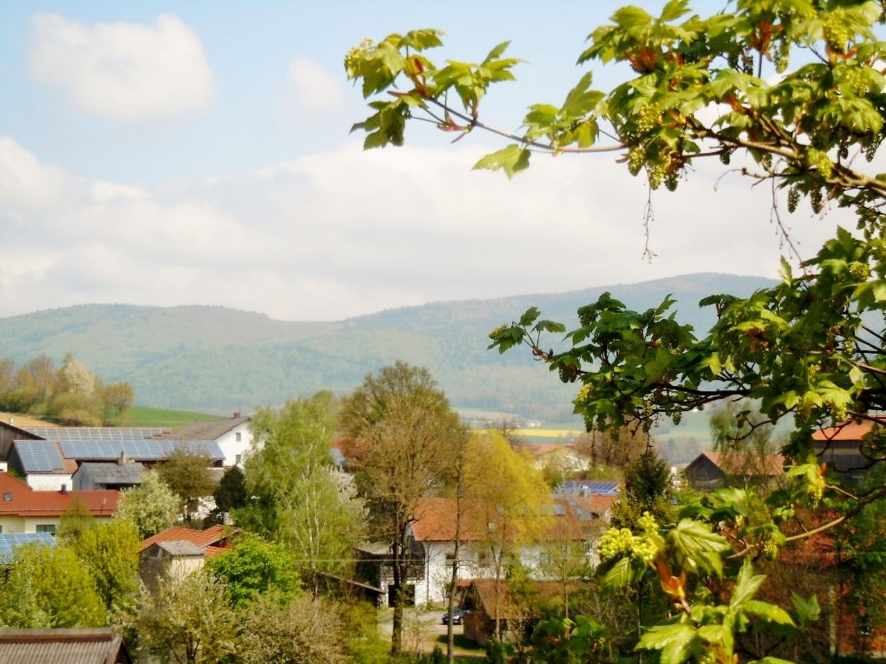 Sommerspezial - Bayerischer Wald