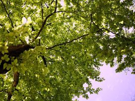 Urlaub im Nationalpark De Meinweg - 7 Tage