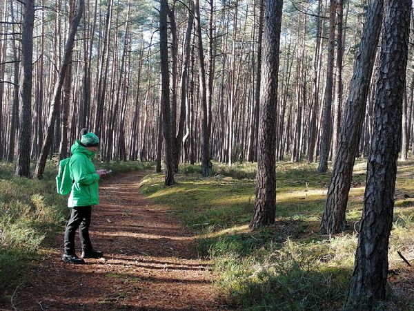 4 Tage im verrückten Hotel: BRATWURSTtage³ exclusiv in Georgensgmünd Halbpension