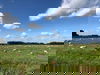 4 Tage Inselurlaub Ameland – Dünen, Meer & Erholung