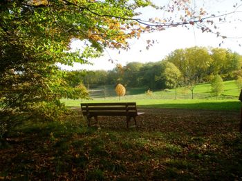 3 Tage Verwöhnzeit mit Wellness in der Eifel