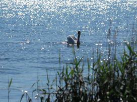 3 Tage Auszeit am Bodensee im Hotel Mein Inselglück