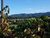 4 Tage zwischen den Weinbergen des Schilcherlandes
