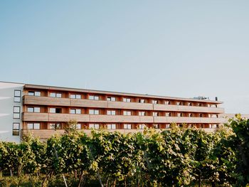 Golf & Genuss – Spiel mit Ausblick