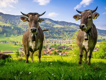 Entspannungswoche im spitzen Wellnesshotel im Allgäu