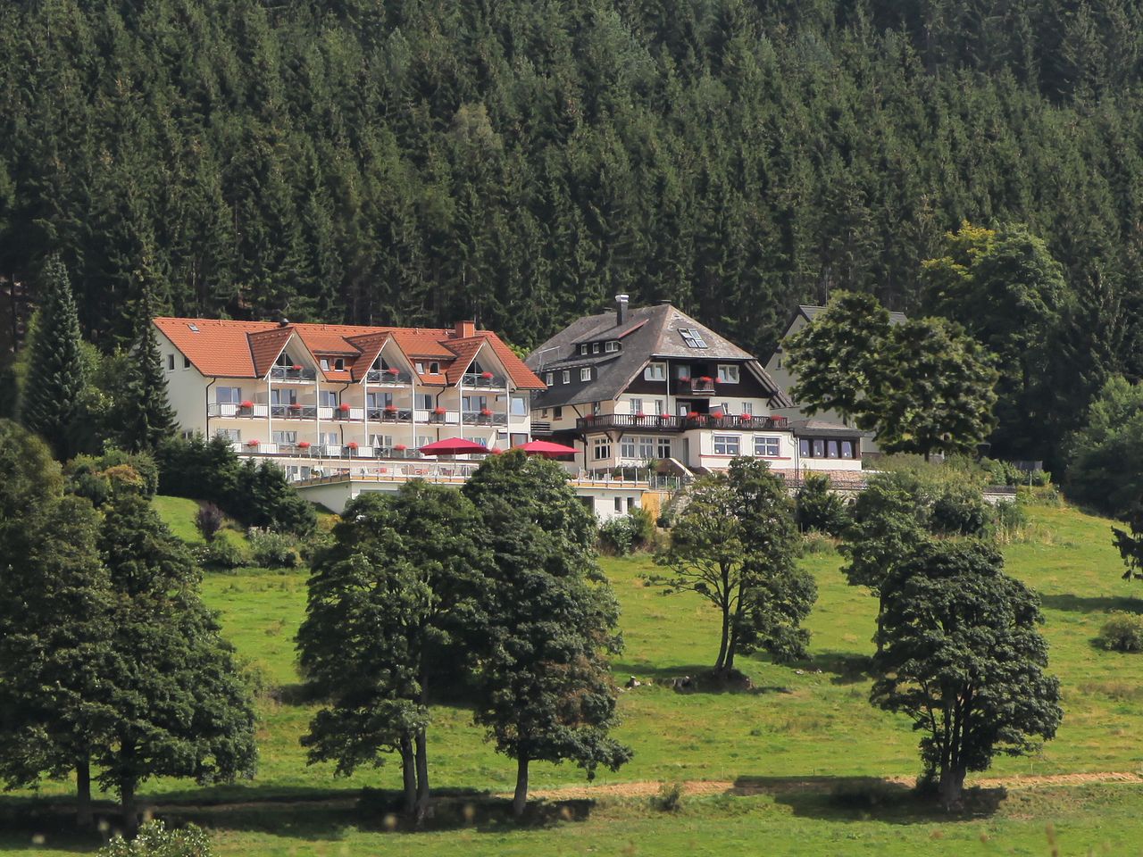 3 Nächte im Schwarzwald inkl. Badeparadies-Eintritt