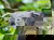 Tierisches Vergnügen: Zoo mit Gondwanaland - 5 Tage