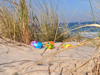 Strandgeflüster  5 Tage mit dem tollen Frühstück