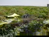 4 Tage Natur pur mit Ausflug zum Nationalpark Hainich