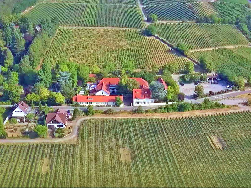 Romantik im Weingut - unser 