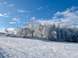 Thüringer Weihnachtsmärkte - 3 Tage Spezial