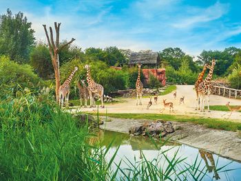 Familienspaß im Ruhrgebiet inkl. Zoom Erlebniswelt