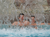 Vita Classica Therme mit Übernachtung