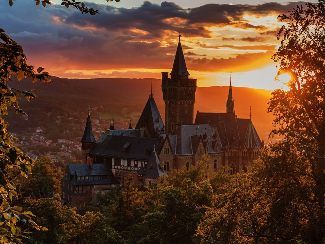 Sommer, Harz & Hängebrücke