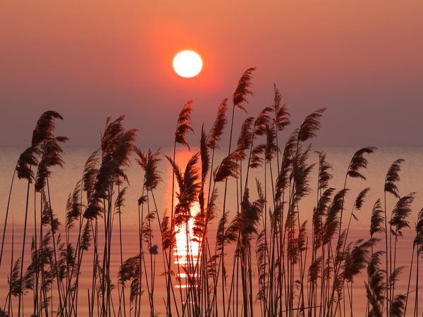 Himmelfahrts – Spezial am See- 3 Nächte inkl. HP plus in Beetzsee OT Brielow Halbpension Plus