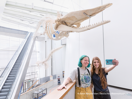 OZEANEUM Stralsund mit Ticket und Hotel
