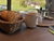 6 Tage Wellness-Entspannung im Luftkurort Grainau