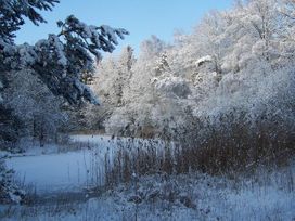 Ruhe und Natur - 2 Tage im Wald von Enschede
