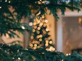 Weihnachtszauber auf Rügen | 4 Tage - 3 Nächte