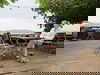 3 Urlaubstage am Rhein, inkl. Halbpension