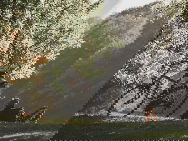 3 Tage Wanderauszeit nahe der deutschen Grenze in Haelen,  inkl. Frühstück